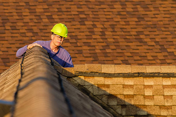 Roof Gutter Cleaning in Boerne, TX